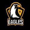 logo - Black EAGLES