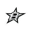 logo - HC Blížkovice Stars