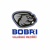 logo - HC Bobři Valašské Meziříčí