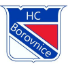 logo - Borovnice