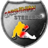 logo - Carinthian Steelers