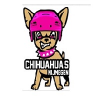 logo - Chihuahuas Nijmegen