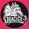 logo - HC Dračice České Budějovice