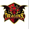 logo - Dragons Ostrava