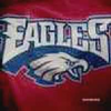 logo - HC Eagles 409