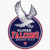 logo - Slovak Falcons