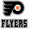 logo - Flyers Brno