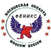 logo - Fenix Moscow