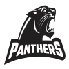 logo - HC Black Panthers