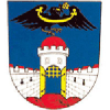 logo - HC Dolní Bousov