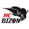 logo - HC Bizon*