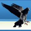 logo - HC Dobří holubi