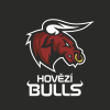 logo - Hovězí Bulls