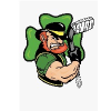 logo - Fighting Irish