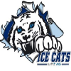 logo - Ice Cats Linz