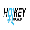 logo - Holkey Náchod