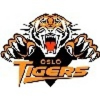 logo - Oslo Tigers