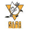logo - J.V.S.K. SLZA Přibyslavice