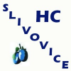 logo - HC Slivovice