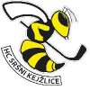 logo - HC Sršni Kejžlice
