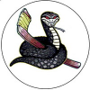 logo - Suomen Myrkyllinen Käärme