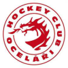 logo - HC Oceláři Třinec