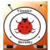 logo - SK Vícenice A