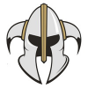 logo - HC Vikings Brno