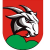 logo - Velké Karlovice