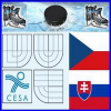 logo - CESA-VUT