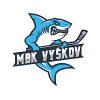 logo - Vyškov girls