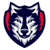 logo - Pilsen Wolves